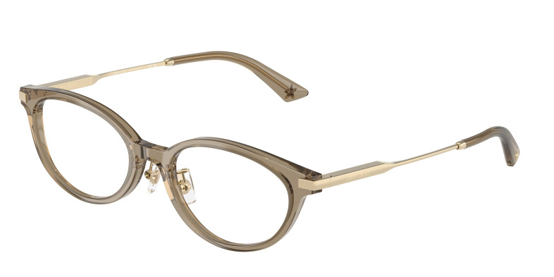 jimmy_choo_0jc3029d_5051_transparent_brown