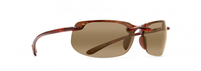 maui_jim_banyans_tortoise