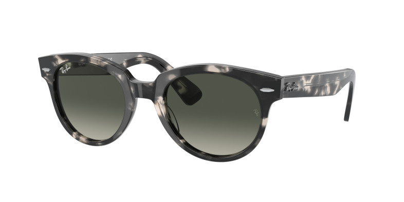 rayban_0rb2199_133371_grey_havana