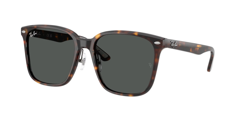 rayban_0rb2206d_710_87_havana
