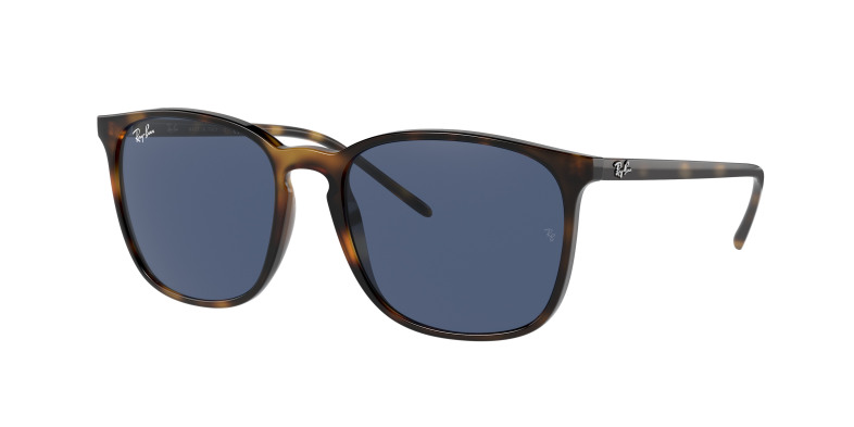 rayban_0rb4387_710_80_havana