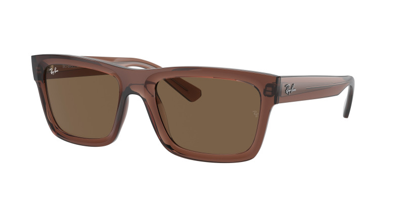 rayban_0rb4396_667873_transparent_brown