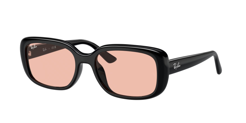 rayban_0rb4421d_667784_black