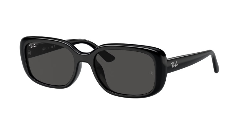 rayban_0rb4421d_667787_black
