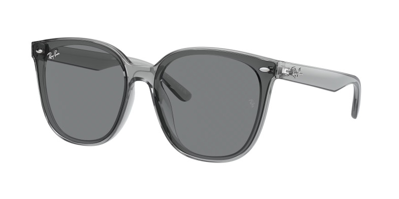 rayban_0rb4423d_645087_transparent_grey