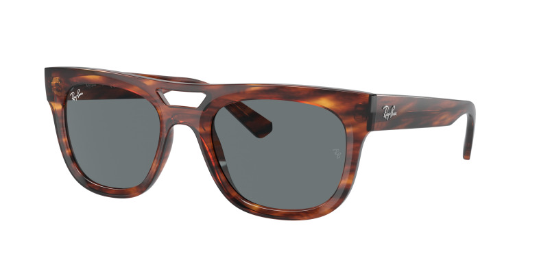 rayban_0rb4426_139880_striped_havana