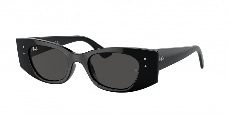rayban_0rb4427_667787_black