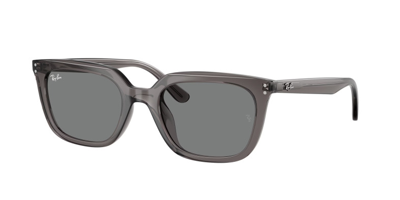 rayban_0rb4439d_667587_transparent_grey