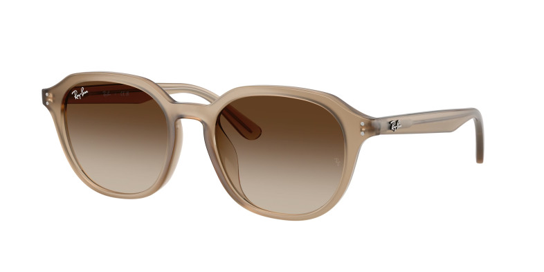 rayban_0rb4459d_616613_turtledove
