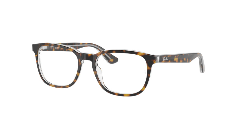 rayban_kids_0ry1592_3805_havana_on_transparent
