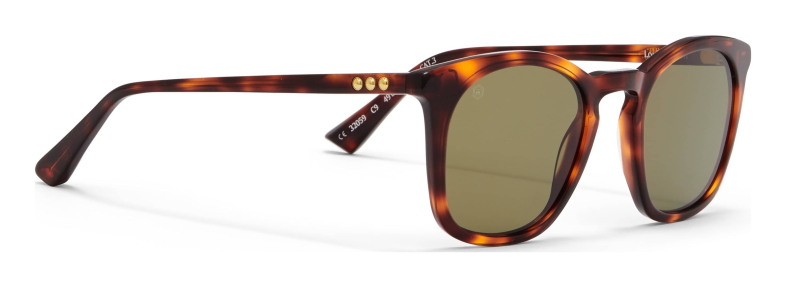 taylor_morris_louis_orson_in_brown_tortoiseshell_brown_tort___green