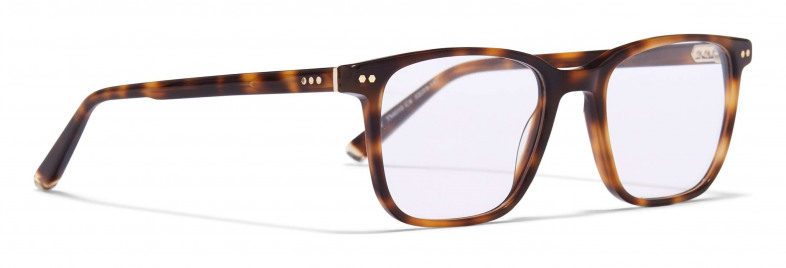 taylor_morris_tm010_tortoiseshell___light_gold