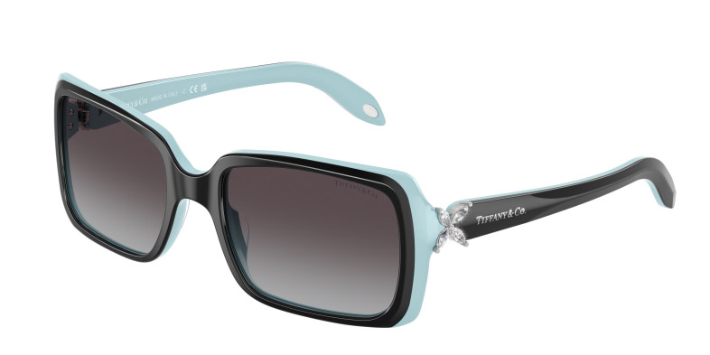 tiffany_0tf4047b_80553c_black_on_tiffany_blue
