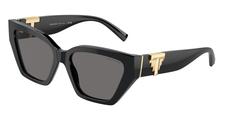 tiffany_0tf4218_800181_black_polarized