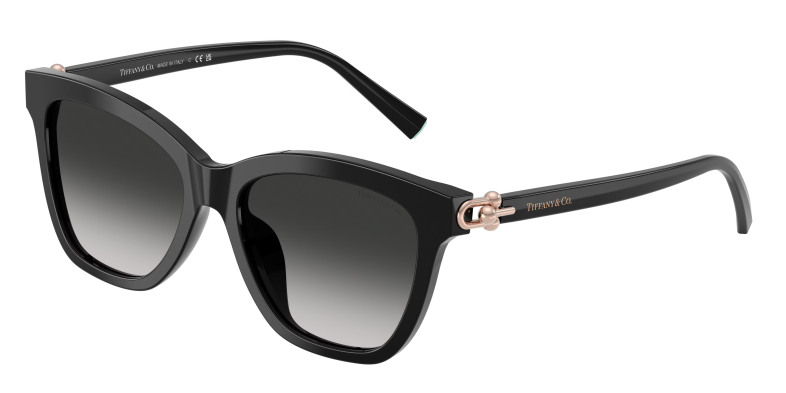 tiffany_0tf4241d_80013c_black