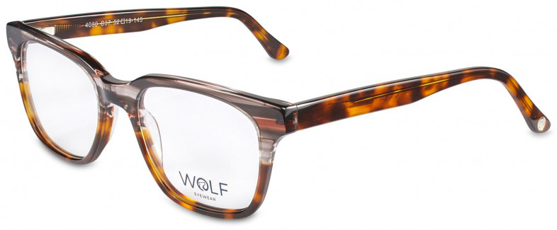 wolf_4080_orange_streaks_havana