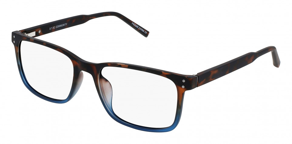 VISUALEYES_COMMUNITY-O-TORTOISEBLUE-54-18-145-Quarter
