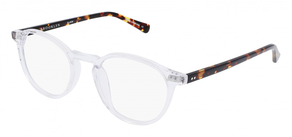 VISUALEYES_ELLISON-O-CRYSTALTORTOISE-49-20-150-Quarter